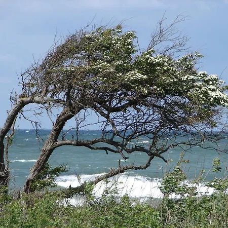 Doberaner Hof באד דובראן